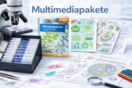 Multimediapakete