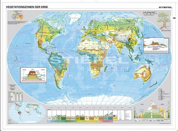 Vegetationszonen der Erde, Wandkarte