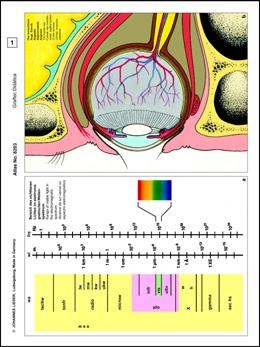 Histologie Mensch und Säugetiere, Ergänzungs-CD I zu CD-SM-09