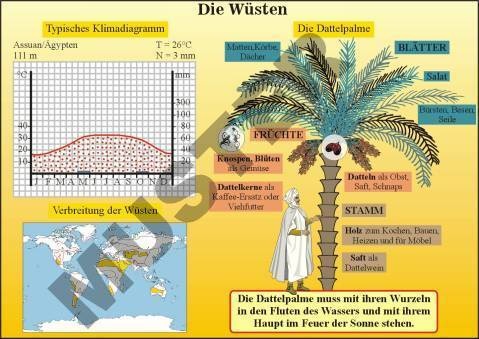 Transparentsatz Die Wüsten