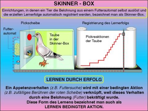 Transparentsatz Lernen durch Erfolg