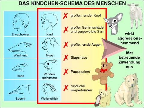 Transparentsatz Angeborenes Verhalten beim Mensch