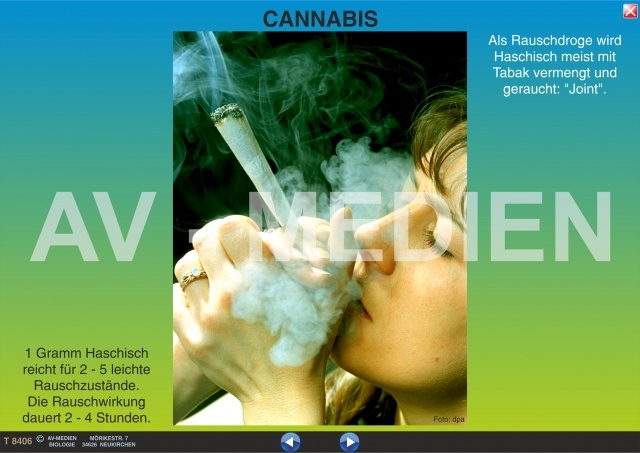 Digitale Folien auf CD,  (Haschisch, Marihuana)