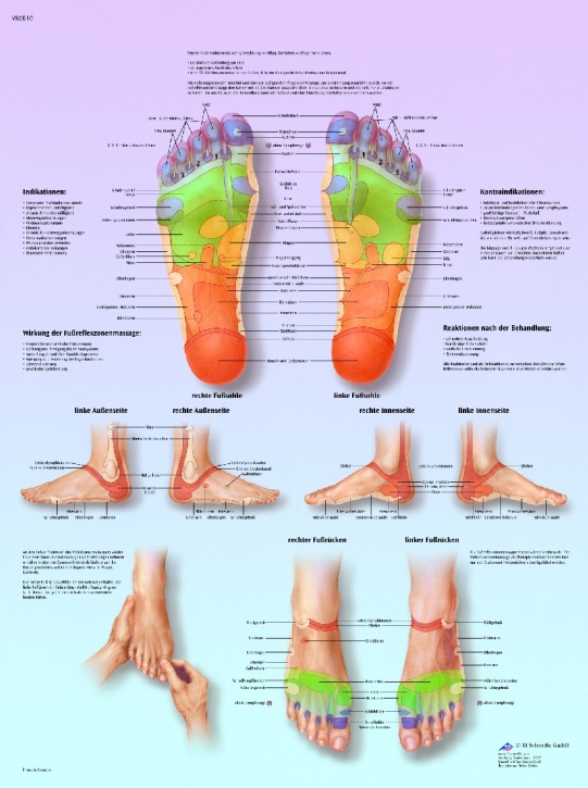 Anatomische Lehrtafel, Fußreflexzonenmassage