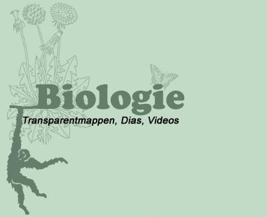 Transparentmappe Humanbiologie 2, Sinnesorgane