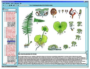 CD-ROM Mikroaufnahmen, Zeichnungen und Begleitmaterial zur Schulserie C Nr. 700