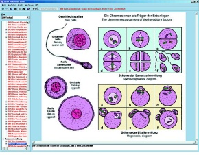 Zellenlehre und Molekularbiologie, Interaktive CD-ROM