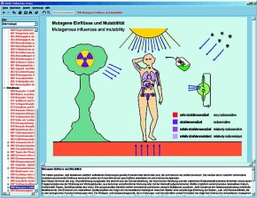 Zellenlehre und Molekularbiologie, Interaktive CD-ROM