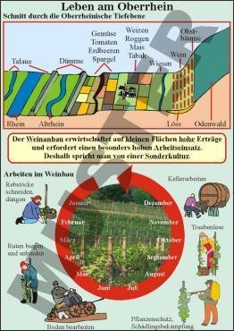 Transparentsatz Leben am Oberrhein