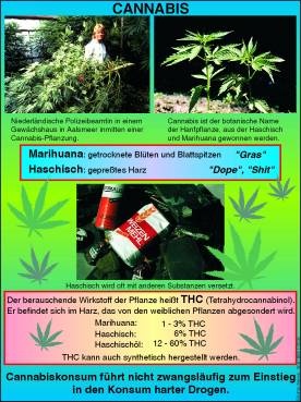 Digitale Folien auf CD,  (Haschisch, Marihuana)