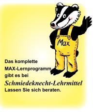Max Lernkarten,  Logik und Konzentration 2